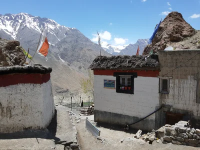 Dhankhar - Photo 3