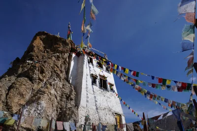 Dhankhar - Photo 5