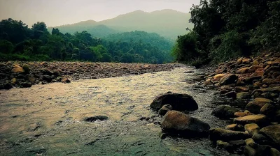 Simlipal National Park - Photo 5