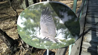 Mathoura - Photo 2