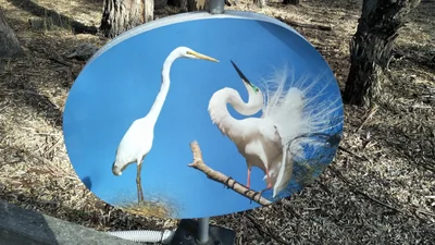 Mathoura - Photo 3