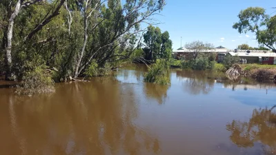 Hillston - Photo 3