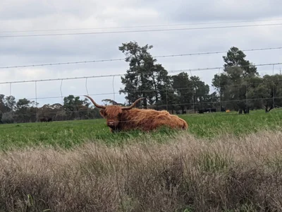 Hillston - Photo 5