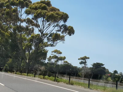 Kilmore - Photo 3