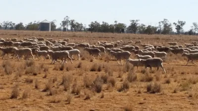 Coonamble - Photo 4