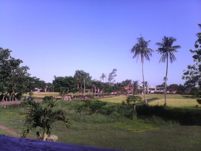 Bandar Penawar - Photo 5
