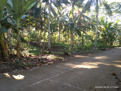 Balingasag - Photo 3