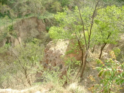 Gangu County - Photo 3