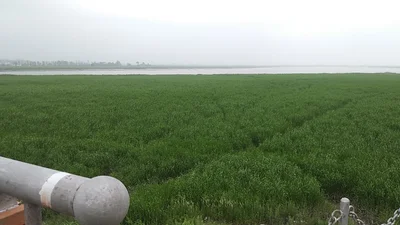 Donggang - Photo 5