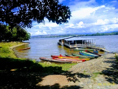 Yaguara - Photo 2