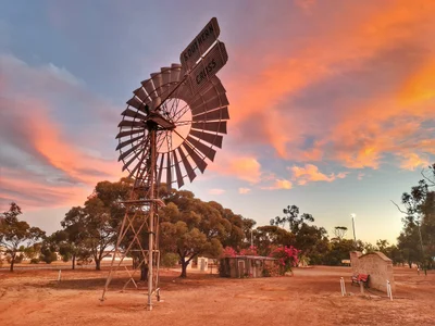 Dalwallinu - Photo 2