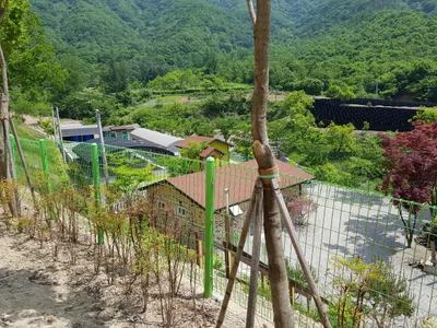 Wanju-gun - Photo 3
