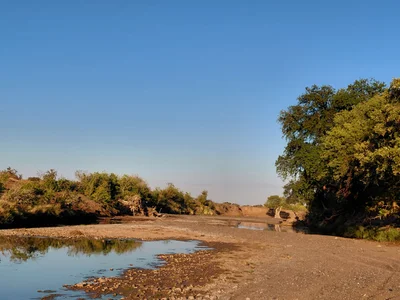 Northern Tuli Game Reserve - Photo 2