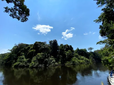 Cuyabeno Wildlife Reserve - Photo 2