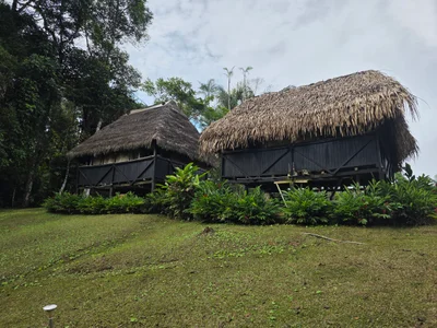 Cuyabeno Wildlife Reserve - Photo 3