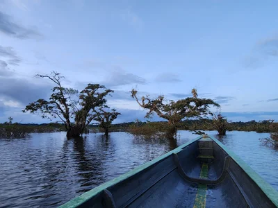 Cuyabeno Wildlife Reserve - Photo 4