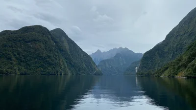 Southland Region - Photo 2