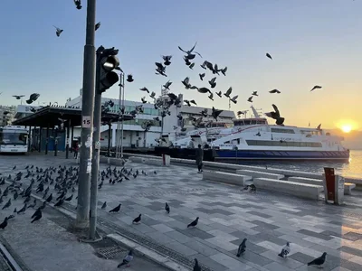 Izmir Province - Photo 4