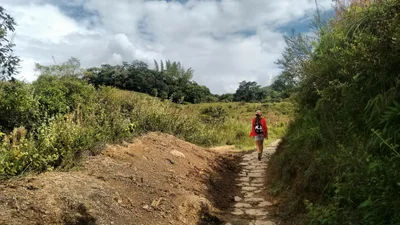 Paramo - Photo 4