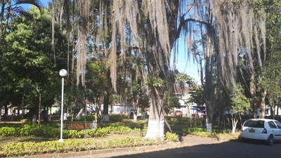 Paramo - Photo 5