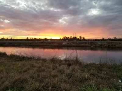 Everglades National Park - Photo 2
