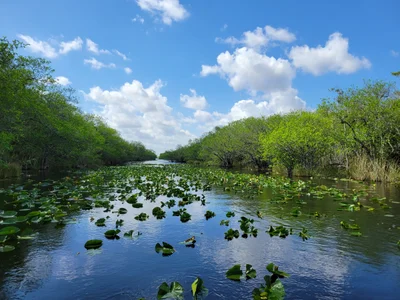Everglades National Park - Photo 5