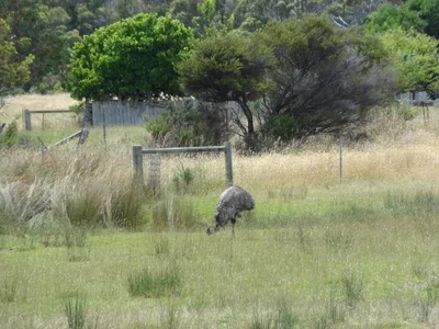 South Mount Cameron - Photo 2