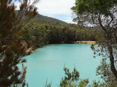 South Mount Cameron - Photo 5