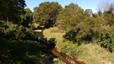 Everton Park - Photo 5
