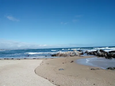 San Carlos - Photo 2