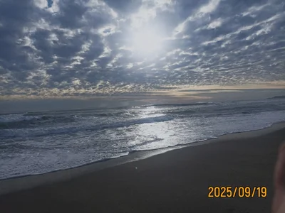San Carlos - Photo 5