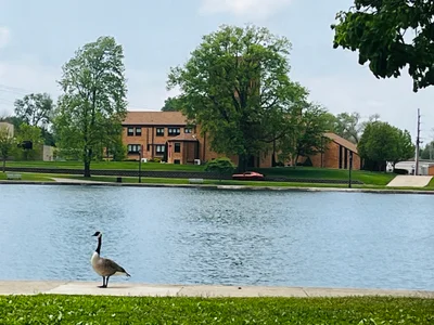 Pekin - Photo 2