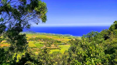 Mont-Vert les Hauts - Photo 2