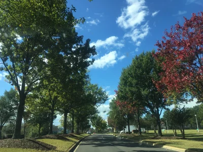 Homewood - Photo 2