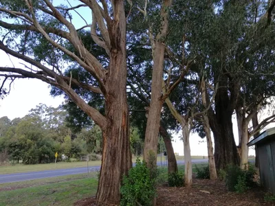Rawson - Photo 2