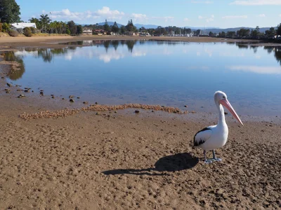 Bateau Bay - Photo 2