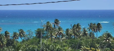 Maunabo - Photo 4