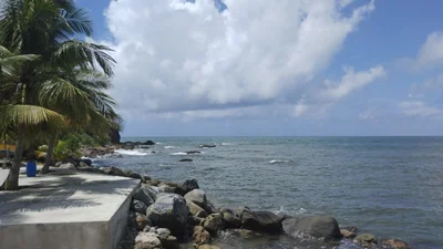 Maunabo - Photo 5