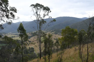 Mount Seaview - Photo 2