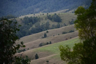 Mount Seaview - Photo 4