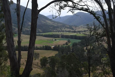Mount Seaview - Photo 5