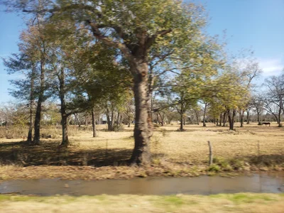Madisonville - Photo 2