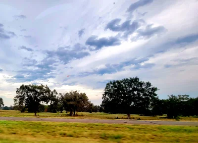Madisonville - Photo 5
