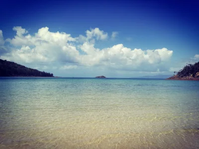 Coral Cove - Photo 2