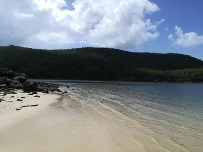 Coral Cove - Photo 3