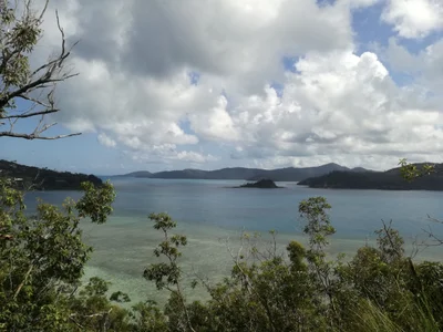 Coral Cove - Photo 4