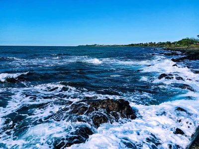 Coral Cove - Photo 5