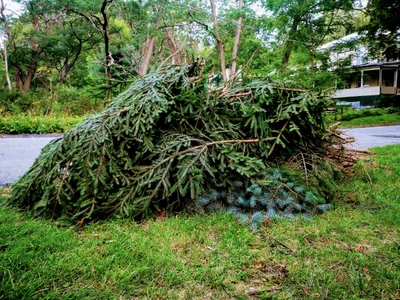 Sharon Springs - Photo 2