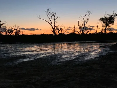 South Yunderup - Photo 2