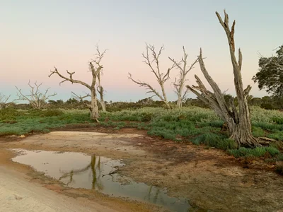 South Yunderup - Photo 3